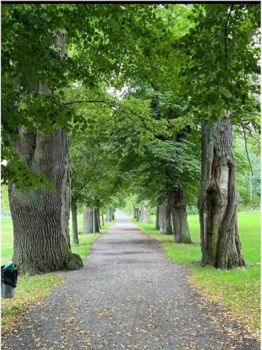 Naera Metro, Stranden Och Skogen. Estocolmo Exterior foto